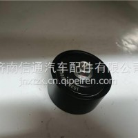 1025400FD020江淮T6 T8锐捷特张紧轮/1025400FD020