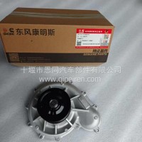 东风康明斯15N天然气发动机水泵/5582555