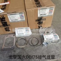 东风商用车DDI75龙擎国六发动机排气歧管/1008028-E4902