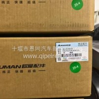 福田欧曼组合仪表/H4376010006A0