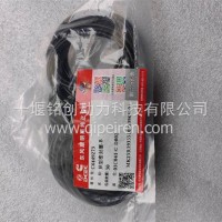 15N天然气发动机液缓水管异型密封圈/6449273