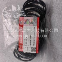 15N天然气发动机EGR冷却器水管异型密封圈/6304714
