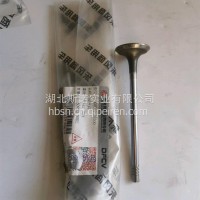 龙擎排气阀/1007012-E8500