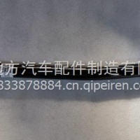 3412110-Z81D311/3412110-Z81D311
