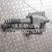 小盖总成(排左选后）/JS125T-1704015-2