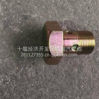 叶片泵空心螺丝/3405861-R9700