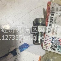 3405851-961C1 空心螺丝管接头/3405851-961C1