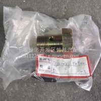 1712102-T0900 空心螺栓-管接头用/1712102-T0900