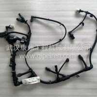 发动机线束6480946/C6480946