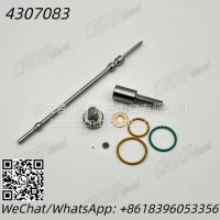 4307083 Repair kit with nozzle/4307083