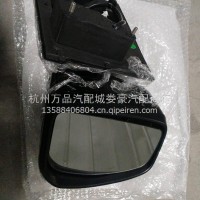 反光镜/倒车镜/9900121691