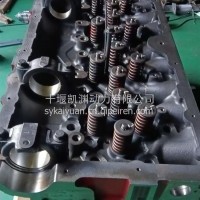 缸盖总成（Z/15L)6379838/6379838