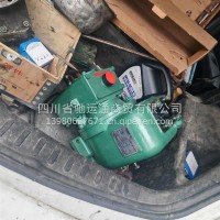 威龙水泵总成/50QZF12/32N
