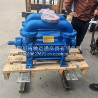 水环式真空泵带油管(油封式右旋/SK-9