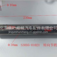 转向节销/S30D5-01021