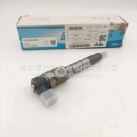 1000000623潍柴WP2.3 WP41喷油器1000186222/1000000623