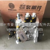 潍柴WP10四气门电喷发动机喷油泵共轨泵总成/612640080015