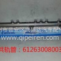 潍柴WP12电喷发动机共轨管/612630080038
