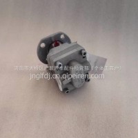 X6231.180W潍柴博杜安柴油发电机组12M33船舶发动机齿轮式输油泵/X6231.180W
