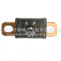 80A保险片/32830011(CT-80A)