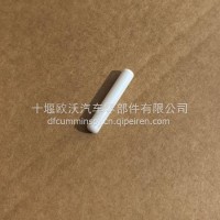 适用于康明斯ISLE8.9发动机配件高压油泵陶瓷柱塞 4088593/4088593