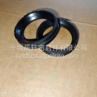 15N 罩盖密封圈/5664241