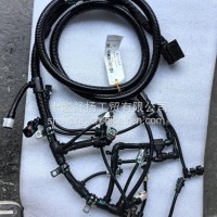 康明斯QSB3.9-G2电控发动机模块线束总成C6443100/C6443100
