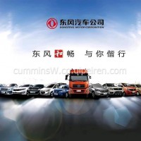 气缸套/C6395181