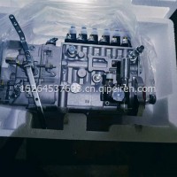BP51D6/612601080620/BP51D6