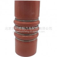 增压器出气软管/1109023N3QZ