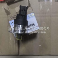 流量计量单元5677847/5677847