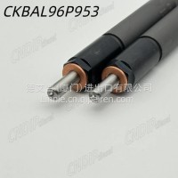 1112010-98D CKBAL96P953 DIESEL FUEL INJECTOR supply/CKBAL96P953