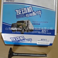进气门/VG1560051001