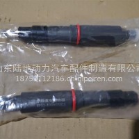 WP10喷油器/WP10