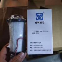 天然气滤芯202V13120-0020/MY200-1107240平原QLX-114/MY200-1107240