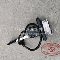 双模量油门踏板 3801-300040SM/6000145093
