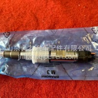 0445120266/612640090001喷油器总成VOLVO国产/0445120266/612640090001