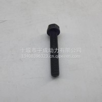 适用于4BT3.9 6BT5.9系列发动机配件 缸盖六角法兰面螺栓 C3920779 SCREW，HEX FLANGE HEAD CAP/3920779