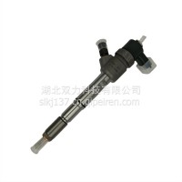 0445110917适用于车辆发动机柴油喷油器总成/0445110917