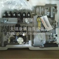 BYC10403656132 康明斯北京亚新油泵T63211922总成/10403656132