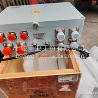 新能源高压配电盒总成2109010-KZ9D1/2109010-KZ9D1