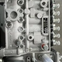 无锡威孚1001130809高压油泵5711183柴油泵BHF6P120005总成/1001130809