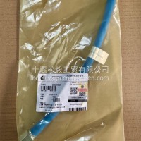 QSM11柔性软管/3883780