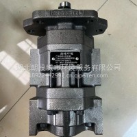 中联LYSZ18A整体式垃圾压缩机齿轮泵/1010001758