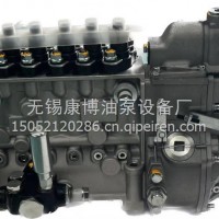 龙口高压油泵BP5569B柴油泵BH6P120喷油泵S00014205+03总成/BP5569B