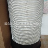 P785589型号齐P785590空气滤芯100048351空压机设备453-5509现货/P785589