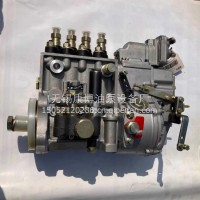 BYC10404544019康明斯北京亚新油泵T832080184总成/10404544019