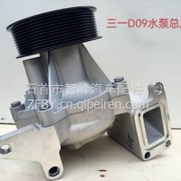 厂家直供三一道依茨D09水泵总成/D09