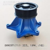 适配三一道依茨D09(10PK-五孔-小轮)C5T1.7.1.1水泵分总成/D09(10PK-五孔-小轮)C5T1.7.1.1