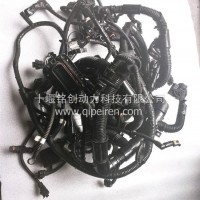 15N天然气发动机电控模块线束/6578601